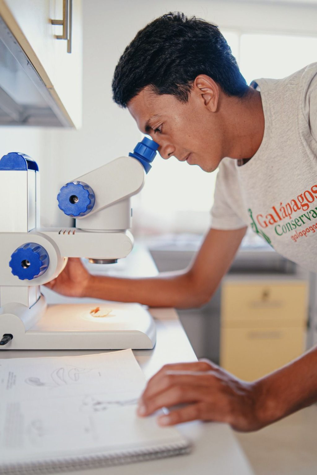 Una investigación de hongos en la Región Insular, es liderada por UTPL