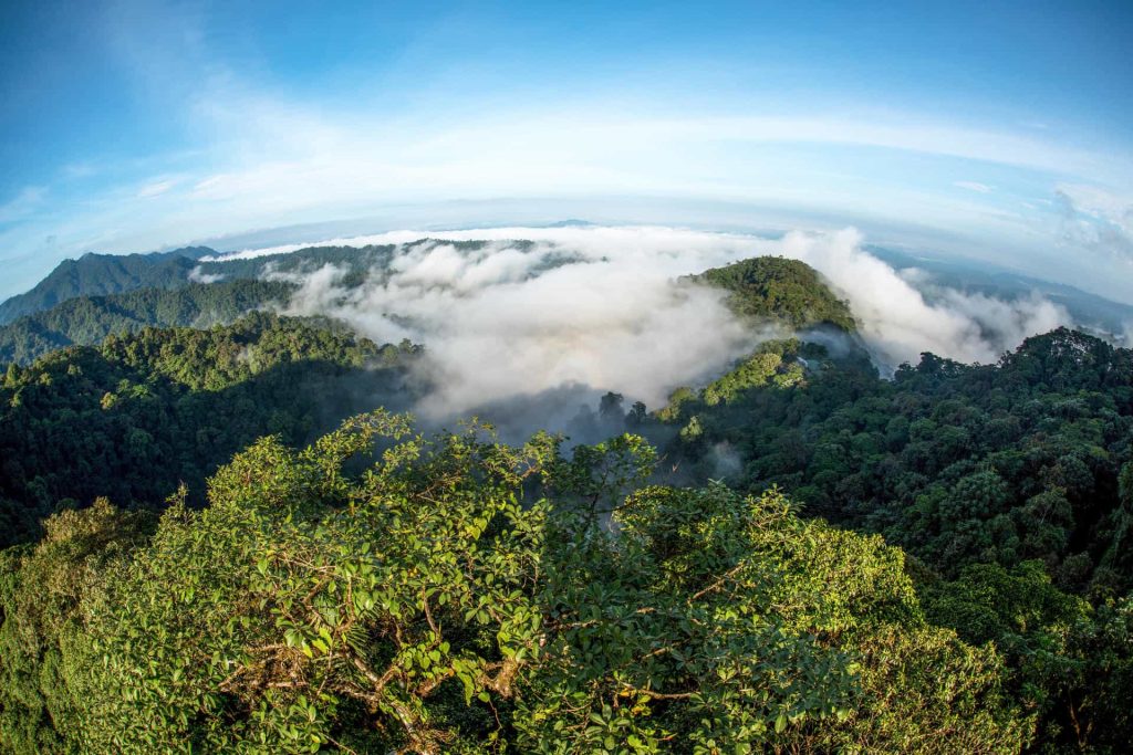 “El Chocó Andino” El bosque de Quito que necesita nuestra protección